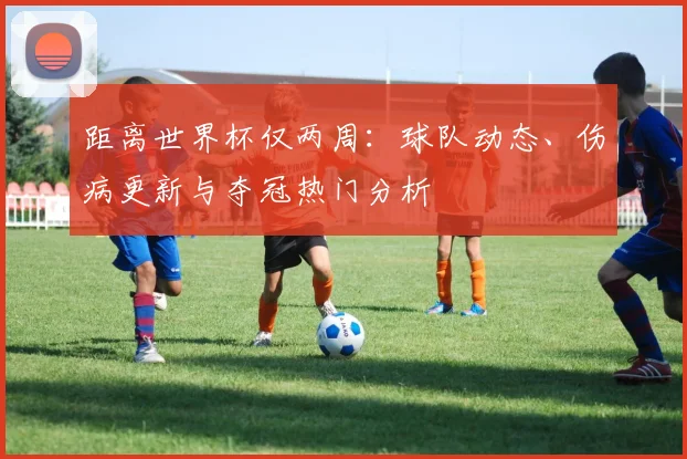 距离世界杯仅两周：球队动态、伤病更新与夺冠热门分析