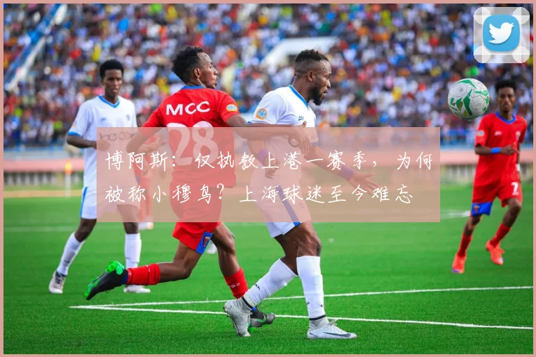 博阿斯：仅执教上港一赛季，为何被称小穆鸟？上海球迷至今难忘